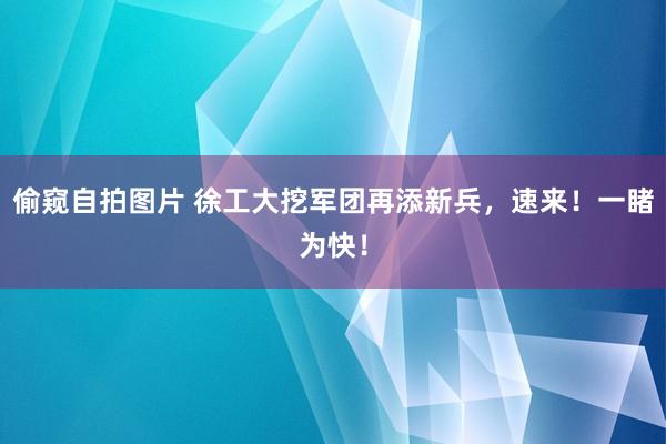 偷窥自拍图片 徐工大挖军团再添新兵，速来！一睹为快！