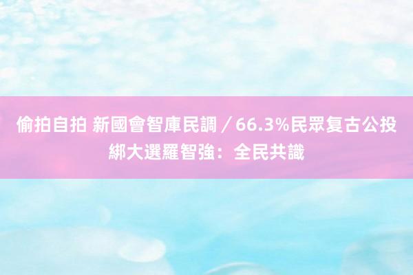 偷拍自拍 新國會智庫民調／66.3%民眾复古公投綁大選　羅智強：全民共識