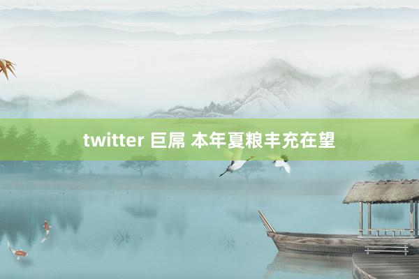 twitter 巨屌 本年夏粮丰充在望