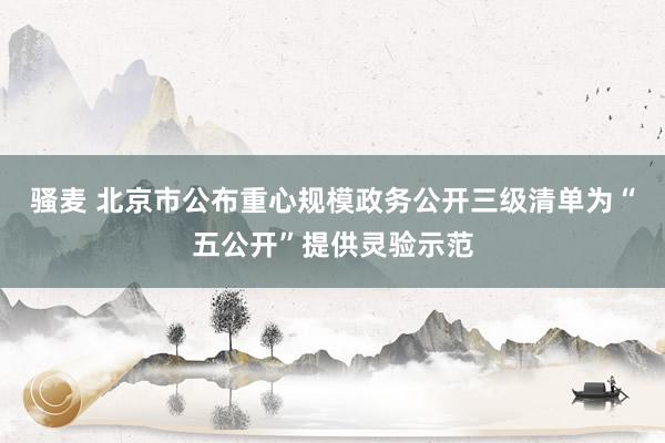 骚麦 北京市公布重心规模政务公开三级清单为“五公开”提供灵验示范